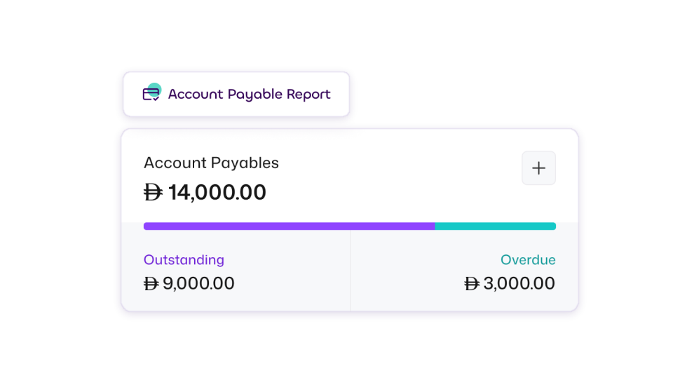 Audit Reports card showing financial audit reports generated in mazeed