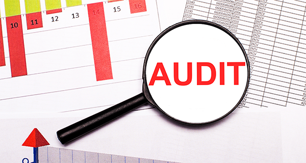 Audit License in UAE