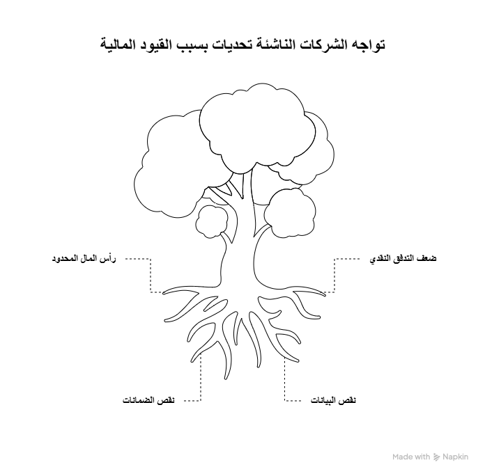 إنفوجرافيك يوضح التحديات المالية التي تواجه الشركات الناشئة مثل رأس المال المحدود، ضعف التدفق النقدي، نقص الضمانات، ونقص البيانات، مما يعوق نموها واستقرارها.