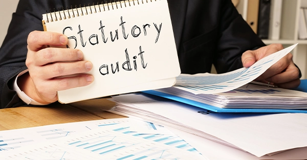 statutory audit in UAE